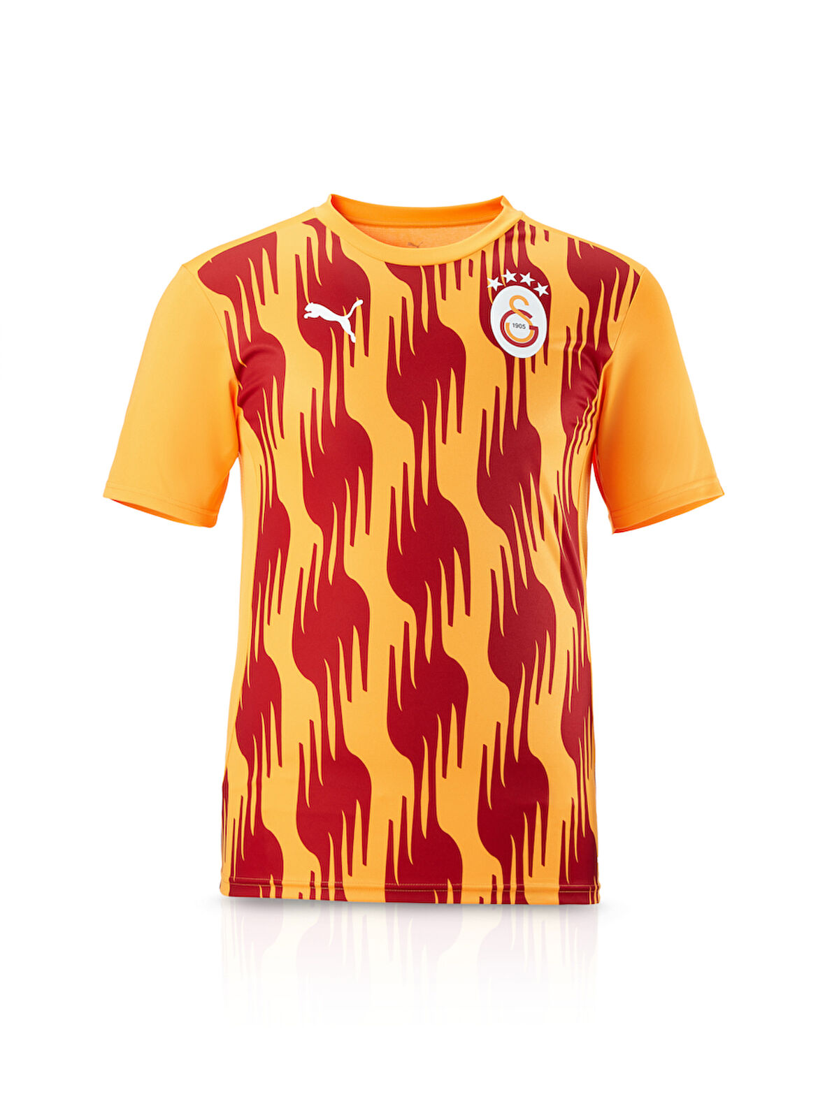 Galatasaray Puma A Takım Antrenman T-Shirt 77969304