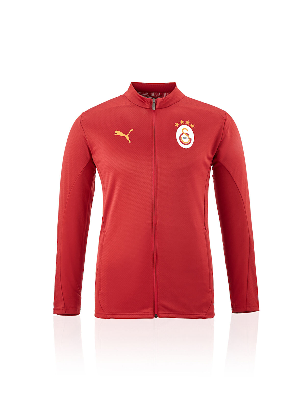 Galatasaray Puma A Takım Antrenman Ceket 77968701