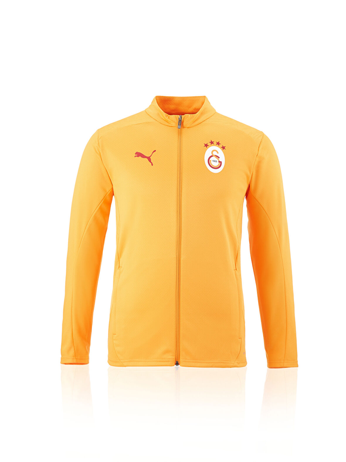 Galatasaray Puma A Takım Antrenman Ceket 77968711