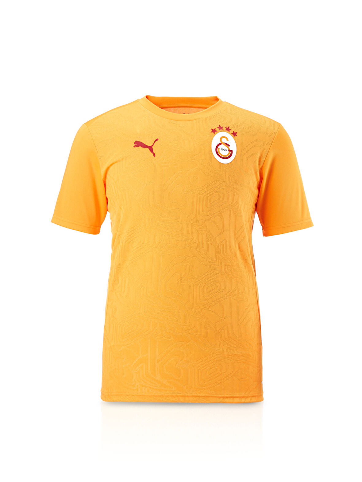 Galatasaray Puma A Takım Antrenman T-Shirt 77969511