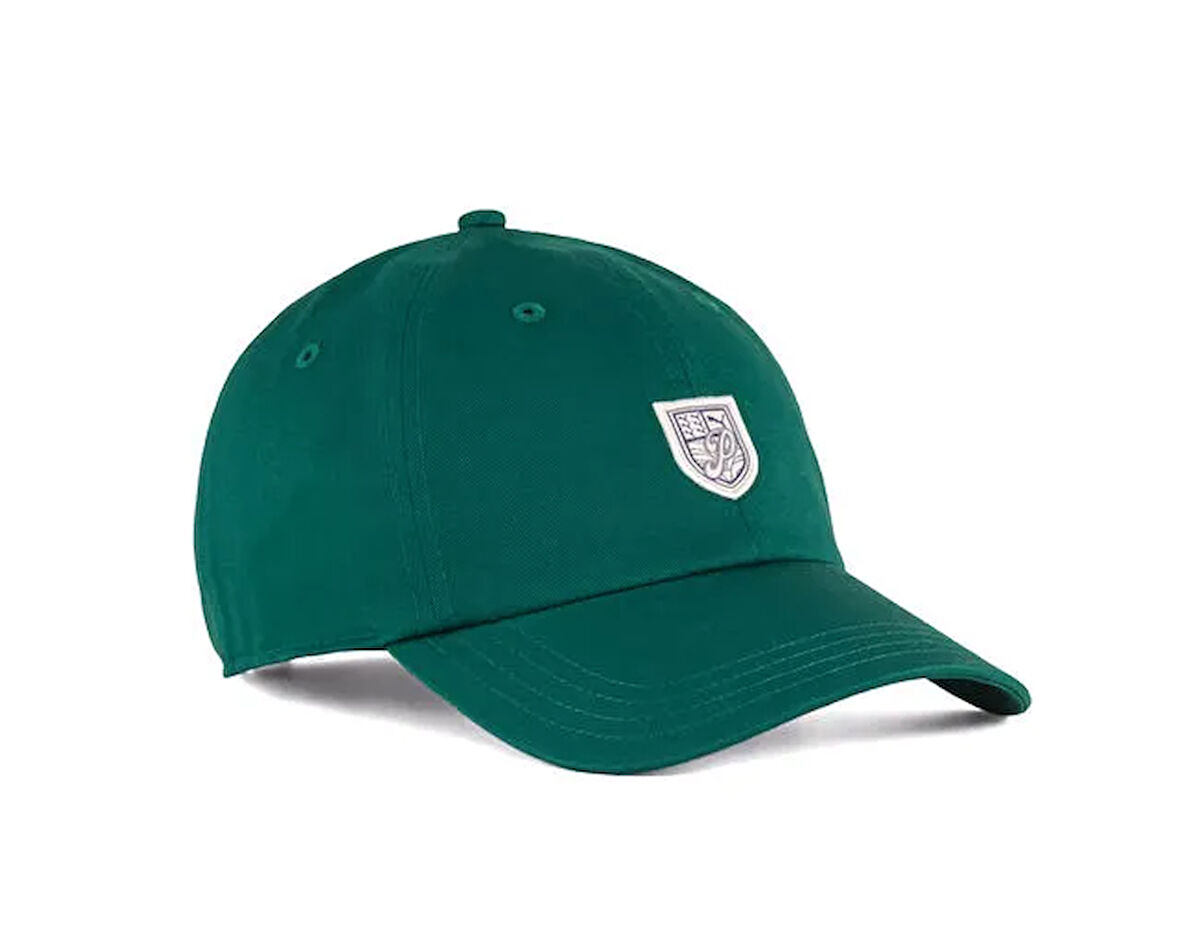 Puma Wardrobe Ess Graphic Dad Cap Şapka 02615503 Renkli