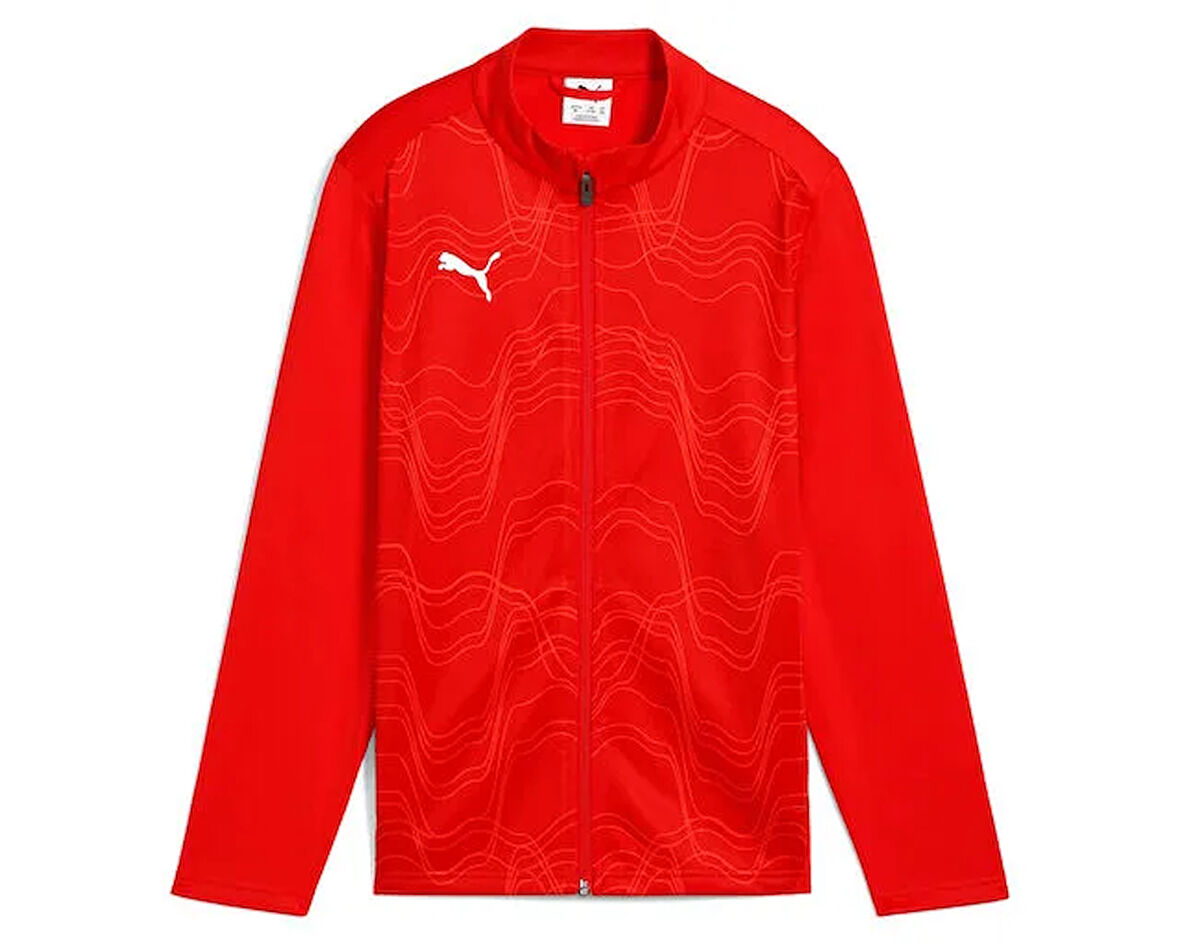 Puma Teamgoal Training Jacket Gpc Erkek Futbol Antrenman Ceketi 66006901 Renkli