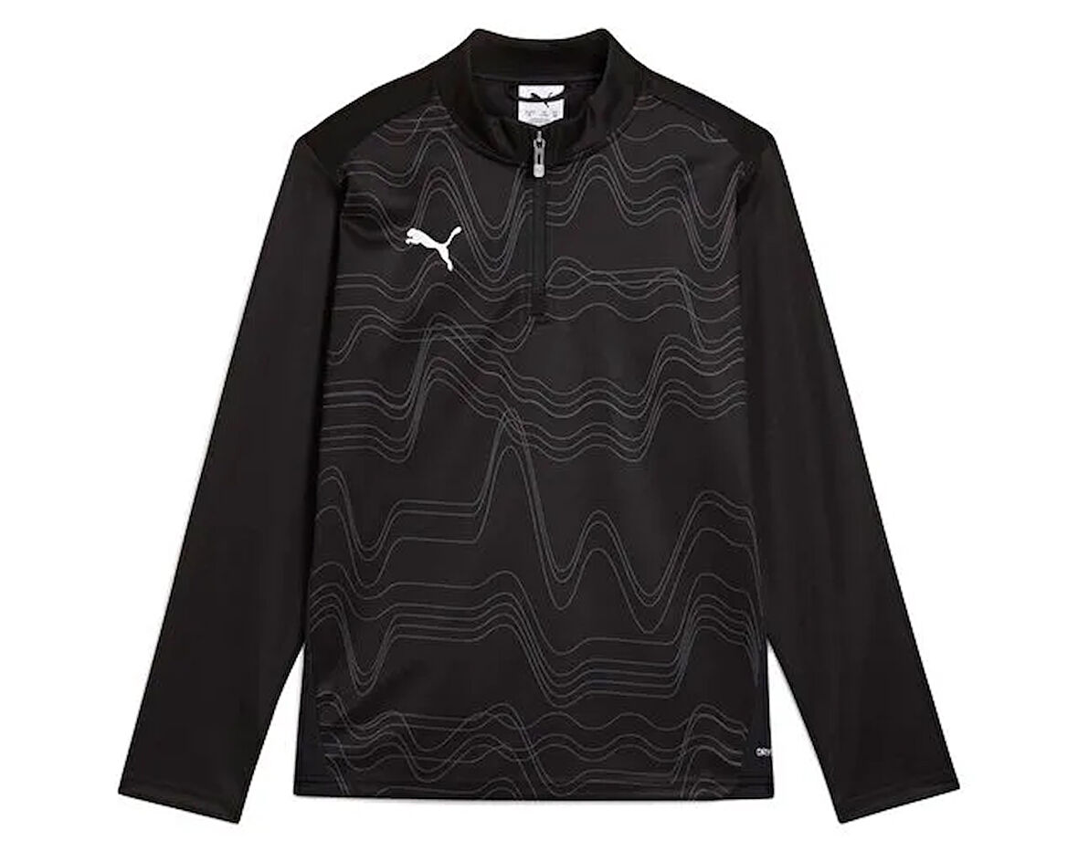 Puma Teamgoal Trg 1/4 Zip Top Gpc Erkek Futbol Antrenman Uzun Kollu Tişört 66006603 Renkli
