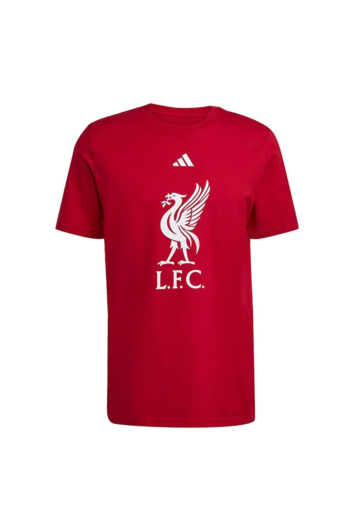 adidas Erkek  Kırmızı  T-shirt LFC DNA GR TEE JW7894