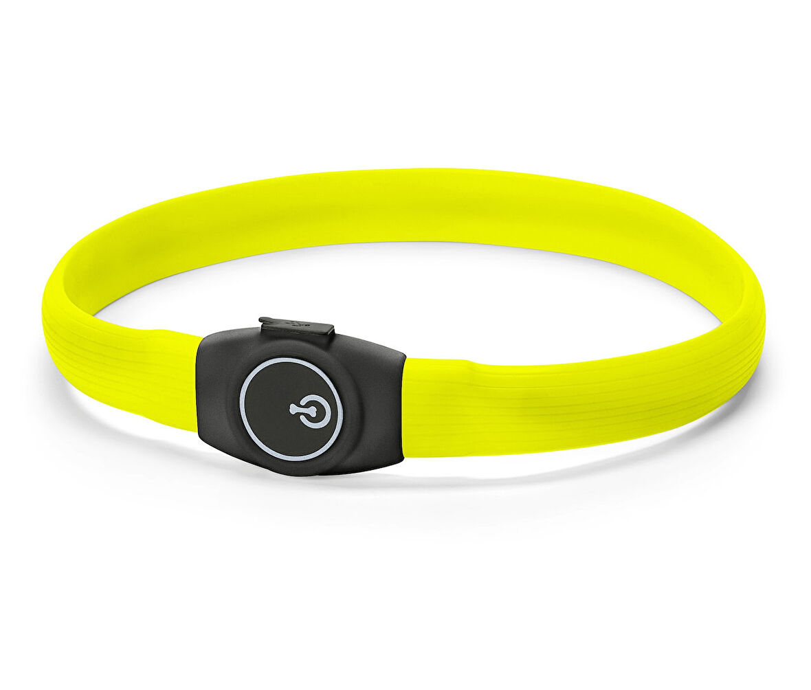 LED’li Köpek Tasması