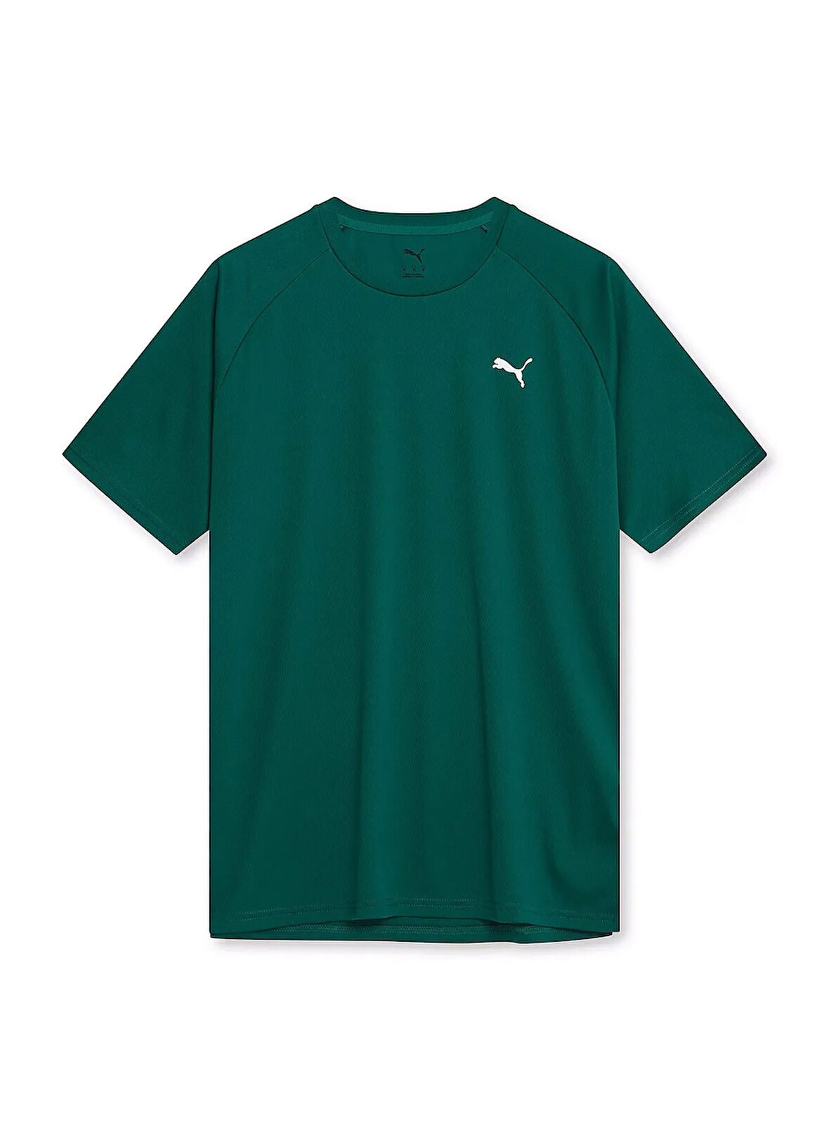 Puma 68952121 TRAINING Tee Malachite Yeşil Yuvarlak Yaka Regular Fit Düz Erkek T-Shirt