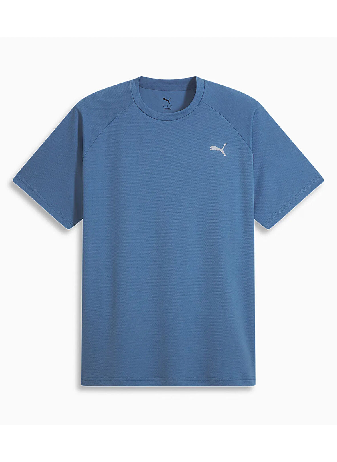 Puma 68952123 TRAINING Tee Deep Dive Mor Yuvarlak Yaka Regular Fit Düz Erkek T-Shirt