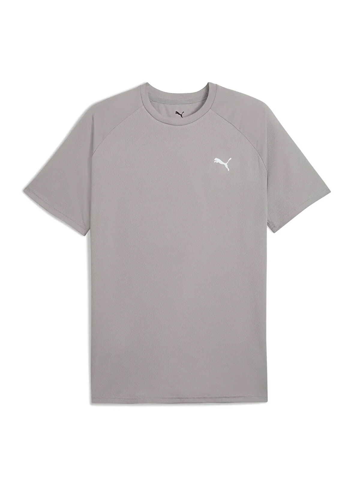 Puma 68952120 TRAINING Tee Concrete Gray Gri Yuvarlak Yaka Regular Fit Düz Erkek T-Shirt