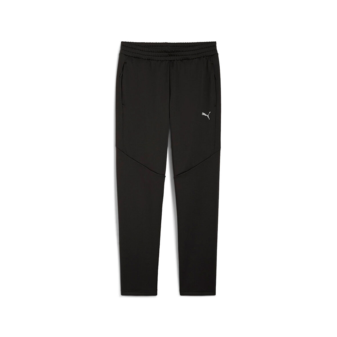 Puma Evostrıpe Warm Pants Erkek Yetişkin Eşofman Altı