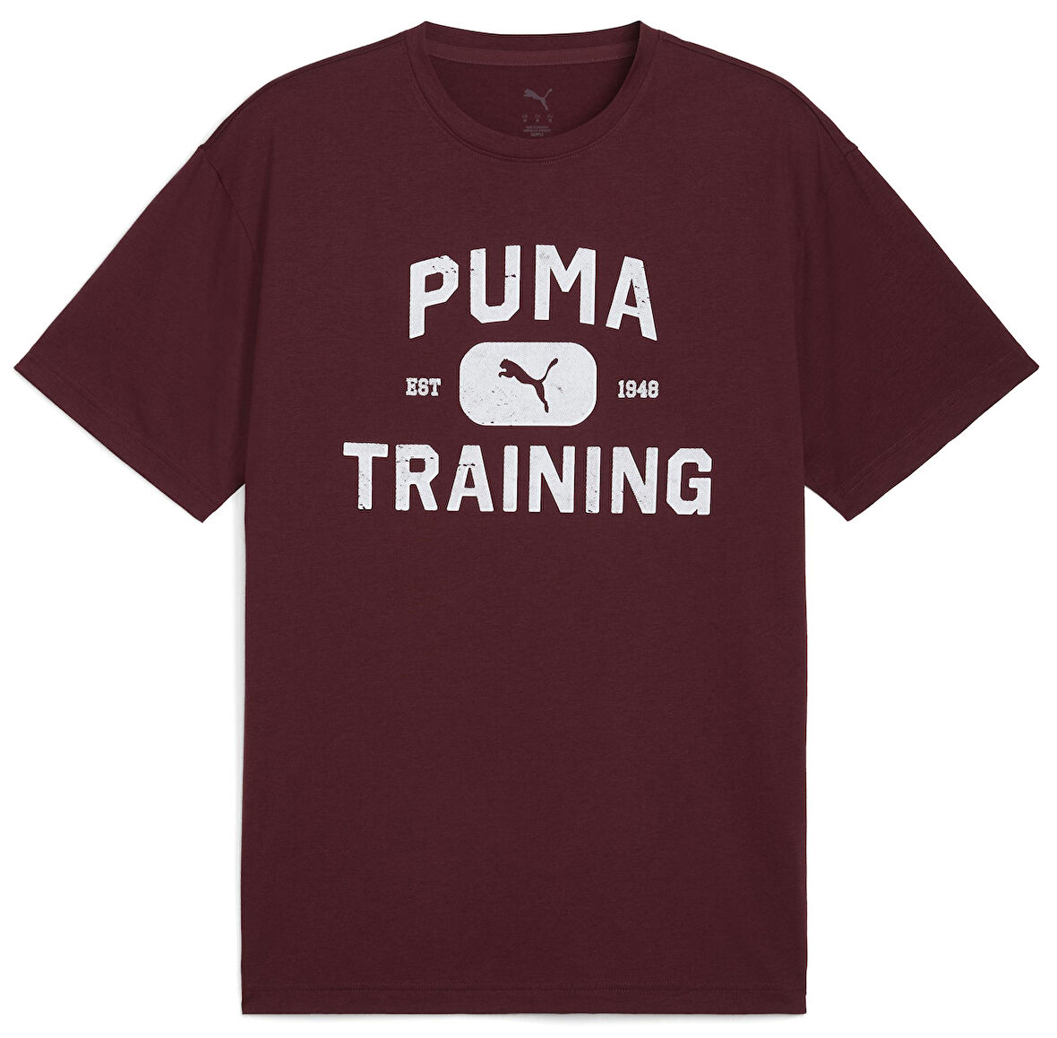 Puma 526568-96 M Graphics Traın Logo Rlxd Tee Tişört Erkek T-Shirt