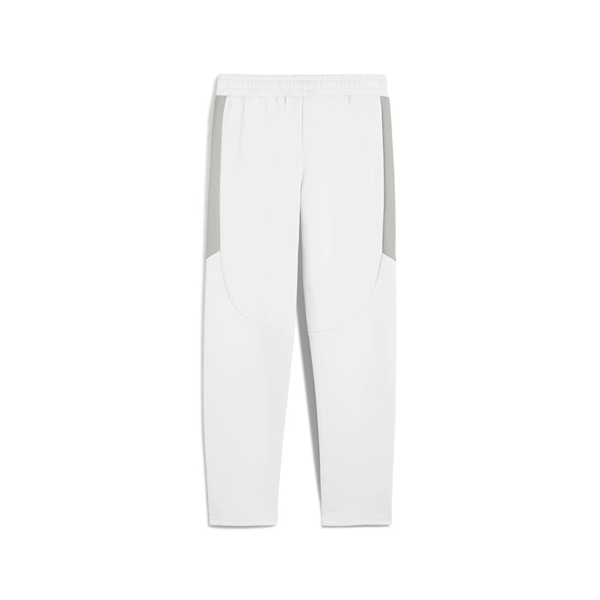 Puma Evostrıpe Pants Dk Erkek Yetişkin Eşofman Altı