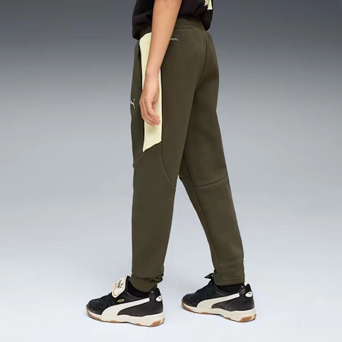 EVOSTRIPE Pants DK