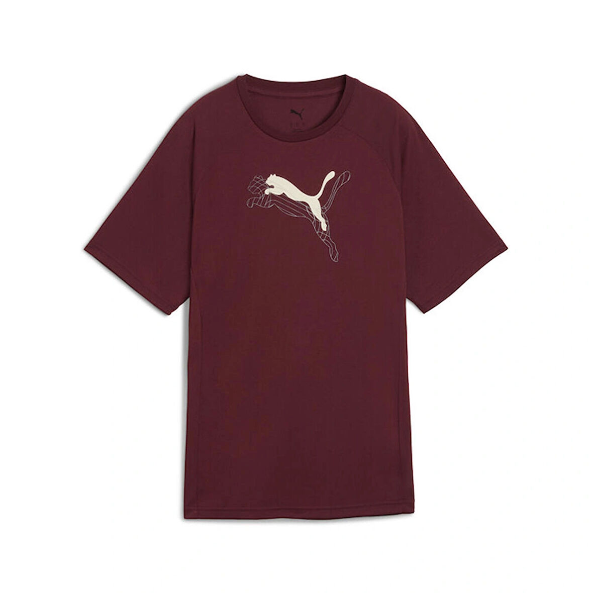 EVOSTRIPE Graphic Tee