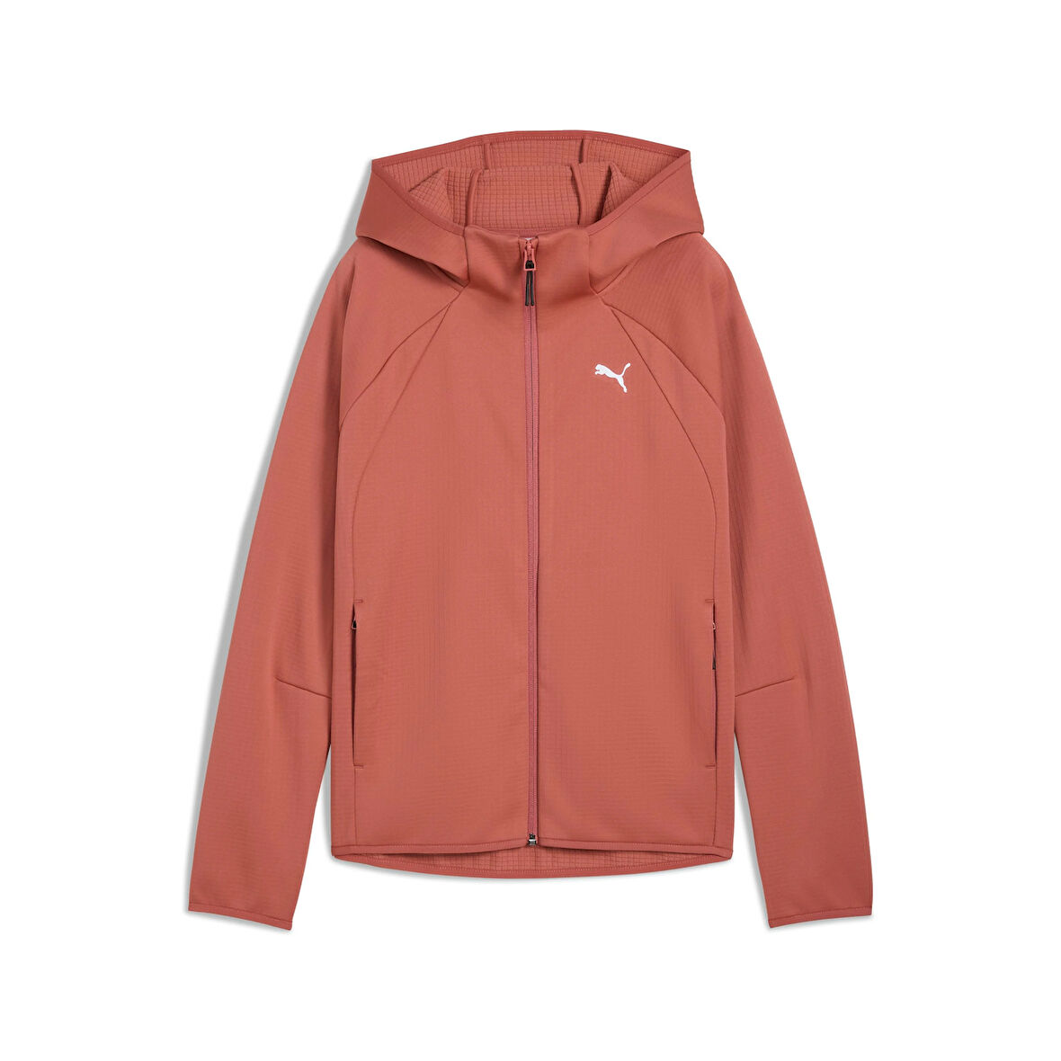 PUMA EVOSTRIPE Full-Zip  Hoodie KADIN SWEATSHIRT 68814560