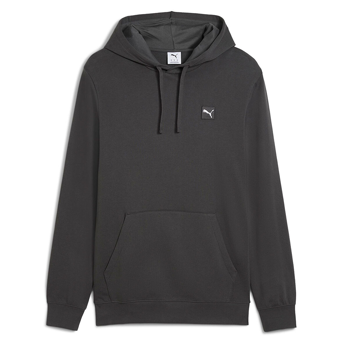 Puma Erkek Hoodie Essentials Elevated