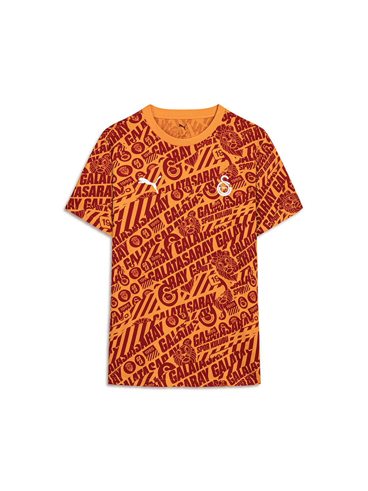 Galatasaray Puma Culture T-Shirt 78291706