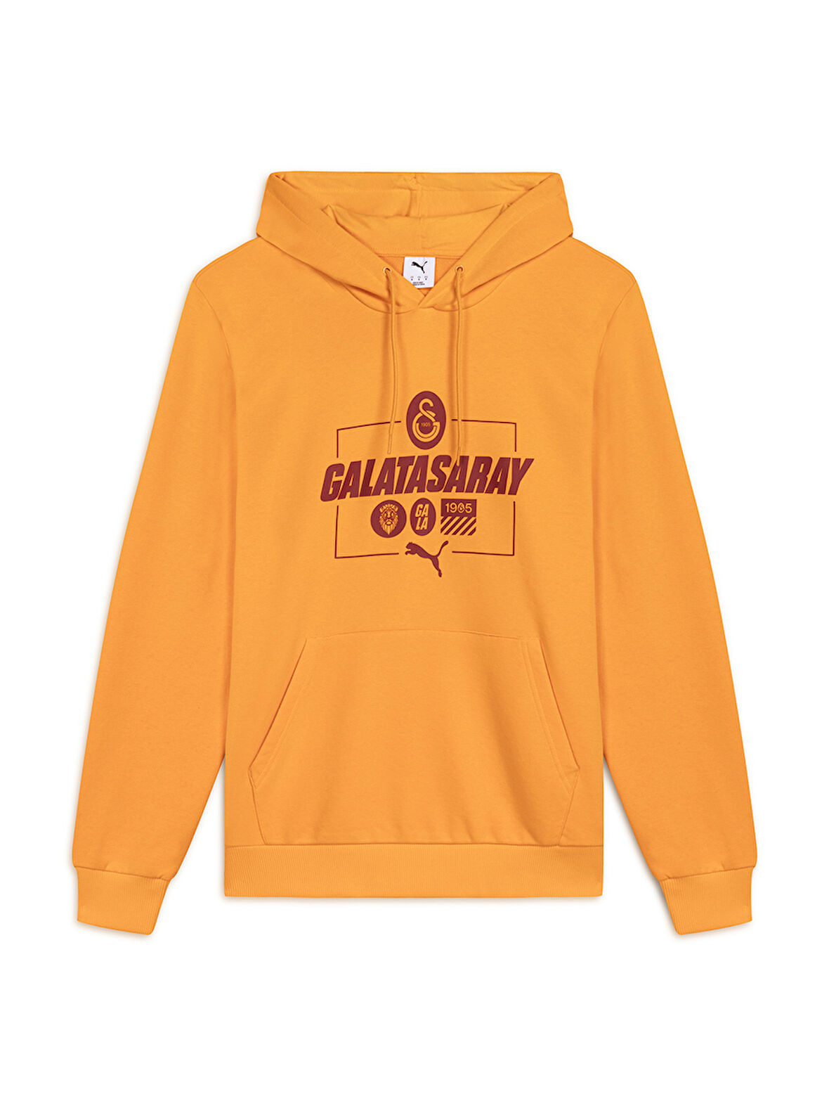 Galatasaray Puma Culture Kapüşonlu Sweatshirt 78291806
