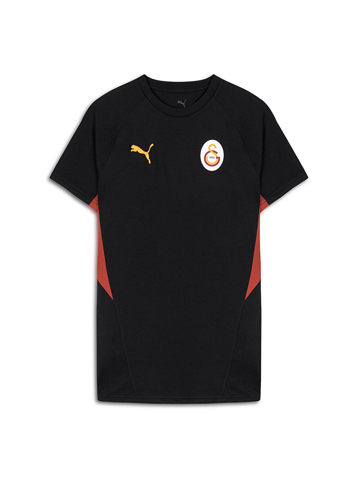 Galatasaray Puma A Takım T-Shirt 78290605