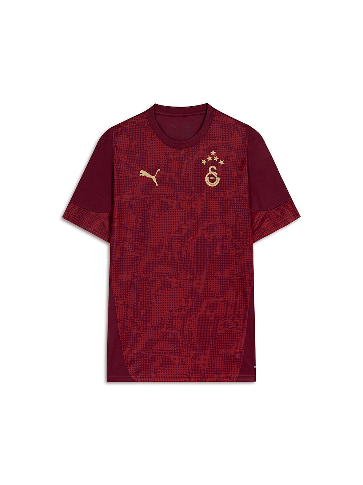 Galatasaray Puma A Takım Antrenman T-Shirt 78288403