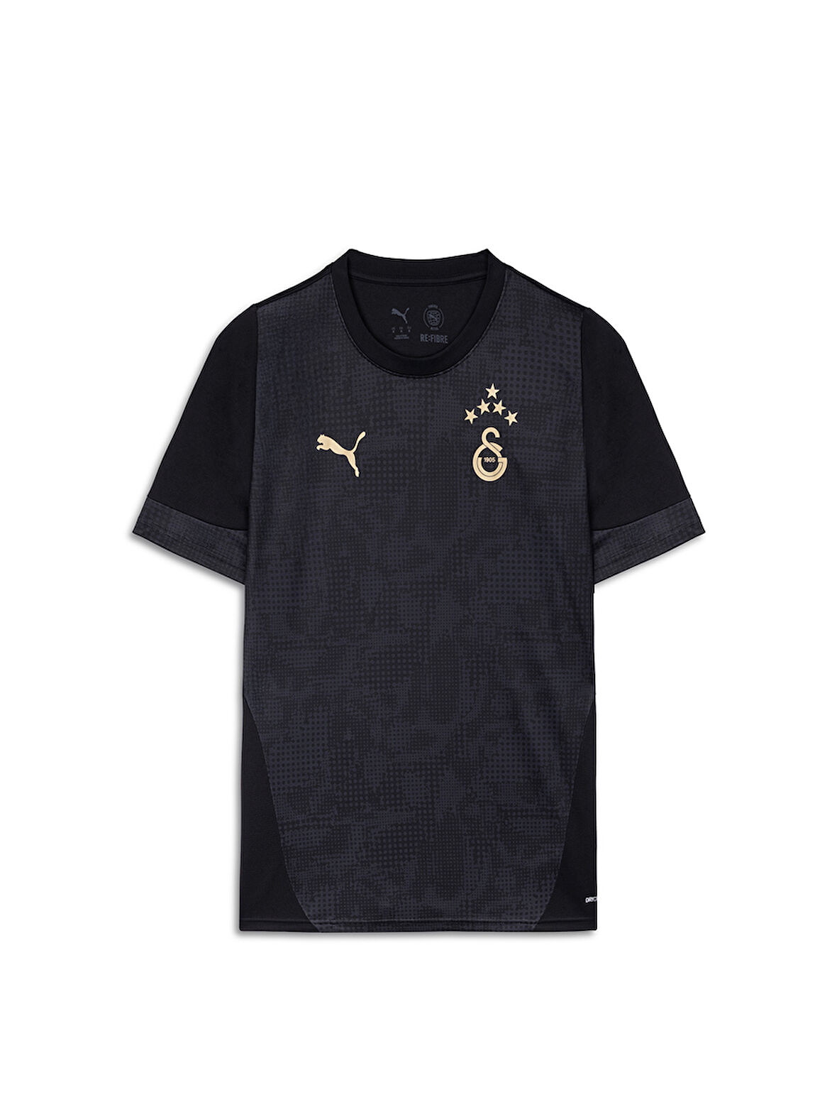 Galatasaray Puma A Takım Antrenman T-Shirt 78288410