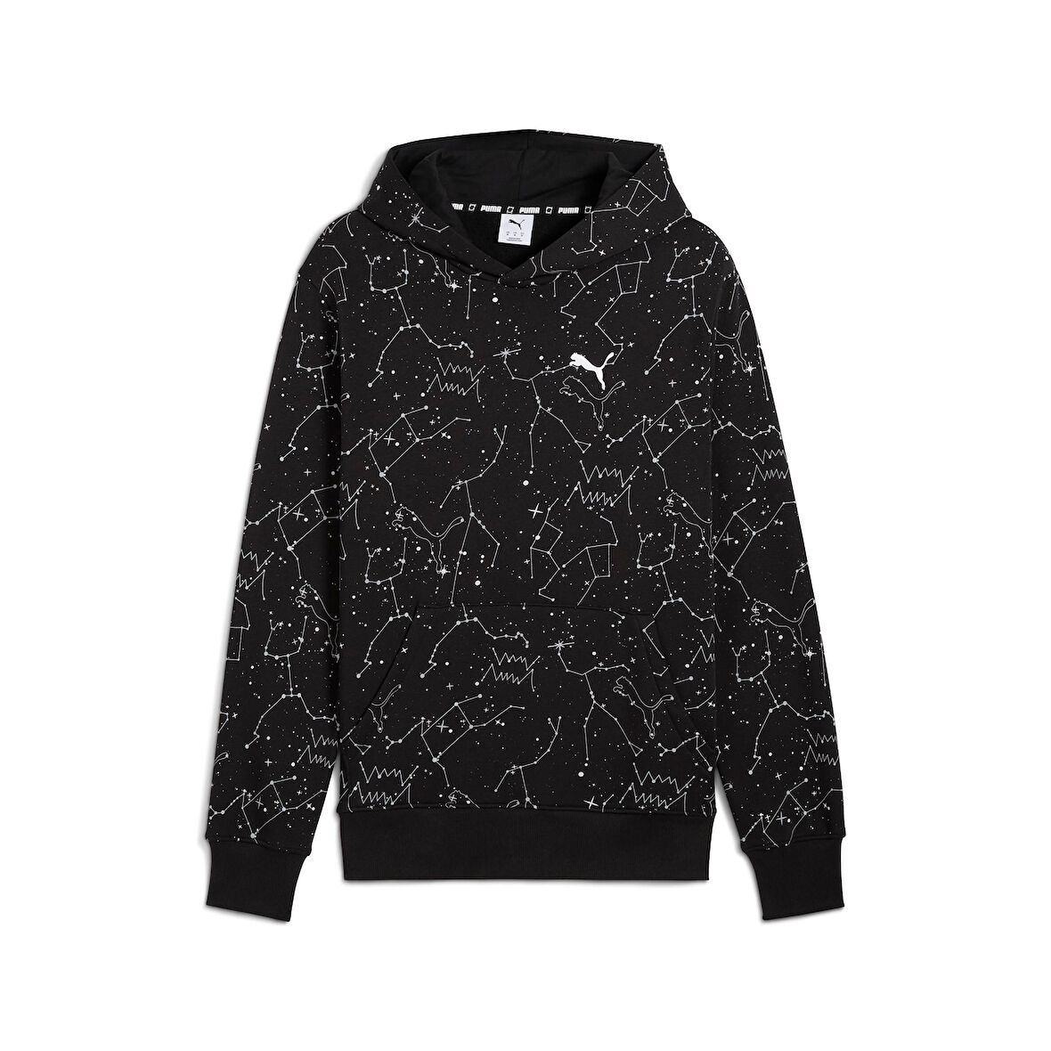 Puma Hoopaverse Pullover Hoodie Erkek Yetişkin Sweatshirt