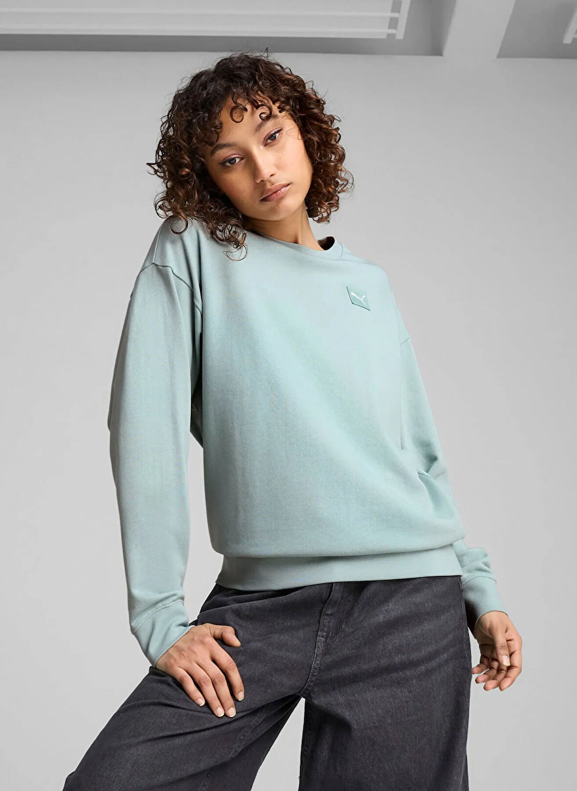 Puma 69089867 ESS ELEVATED Comfort Crew Nane Yuvarlak Yaka Regular Fit Düz Kadın Sweatshırt