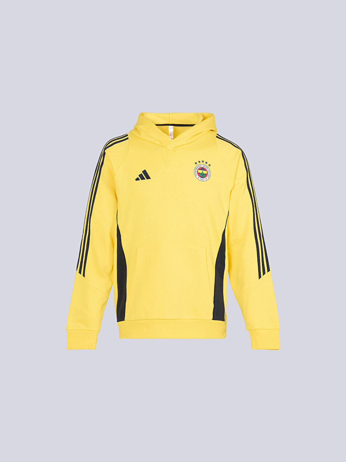 2025/26 A TAKIM SARI HOODY JR