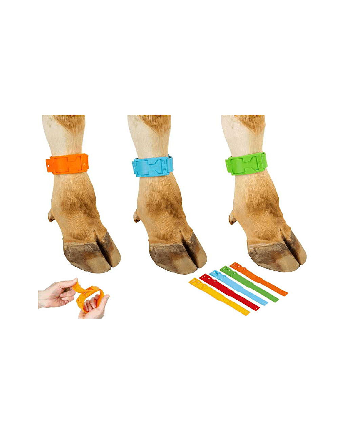 Büyükbaş Ayak Bandı Alman Malı