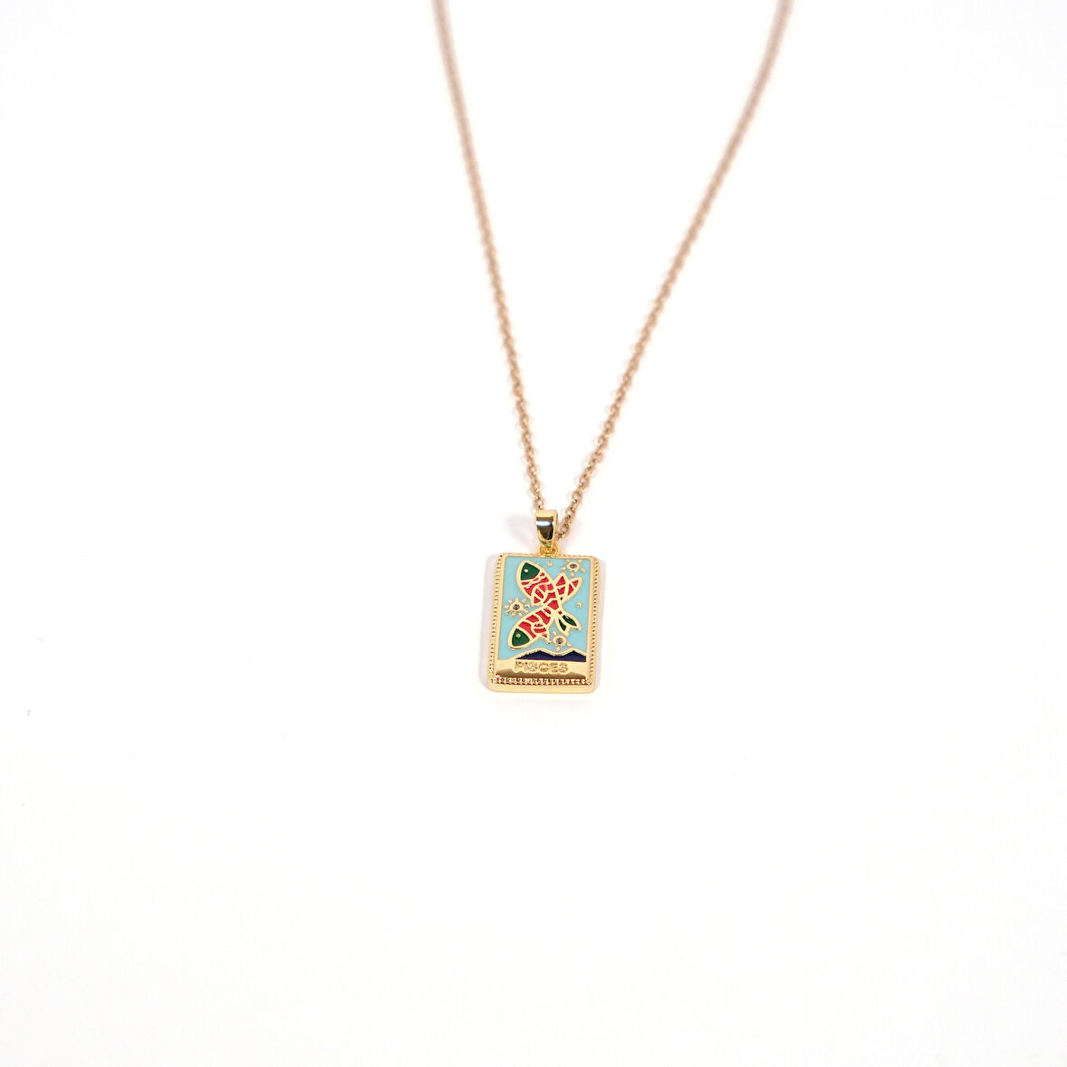 Çelik Kolye Balık Burcu Kolyesi - K-133