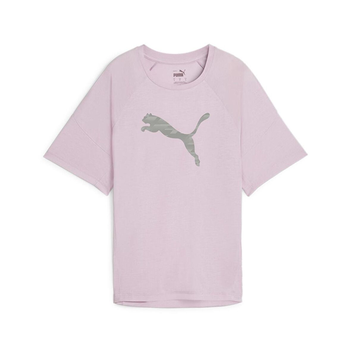 Evostripe Graphic Tee Kadın T-shirt