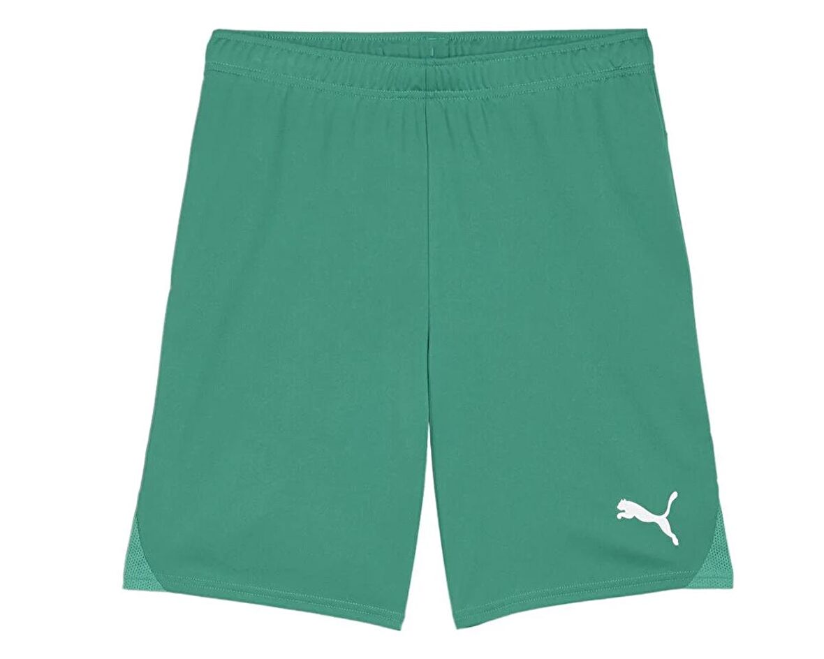 Puma Teamgoal Shorts Erkek Futbol Antrenman Şortu 70575205 Yeşil