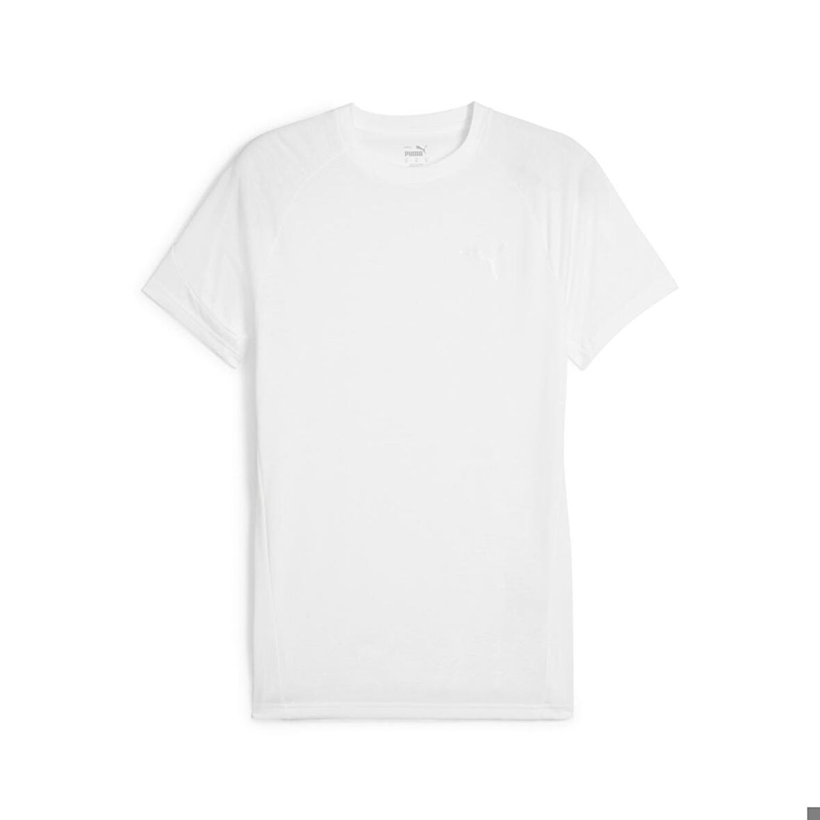 Puma Erkek Tişört Evostripe