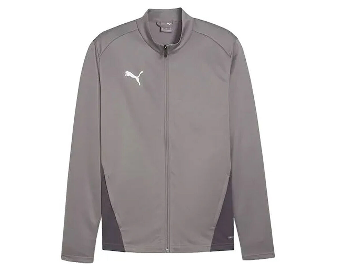 Puma Teamgoal Training Jacket Erkek Futbol Antrenman Ceketi 65863313 Gri