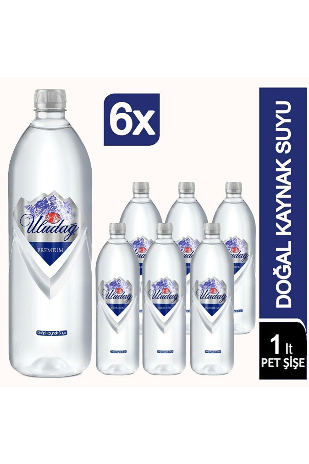 Su 1000 ml Pet Şişe 6 lı