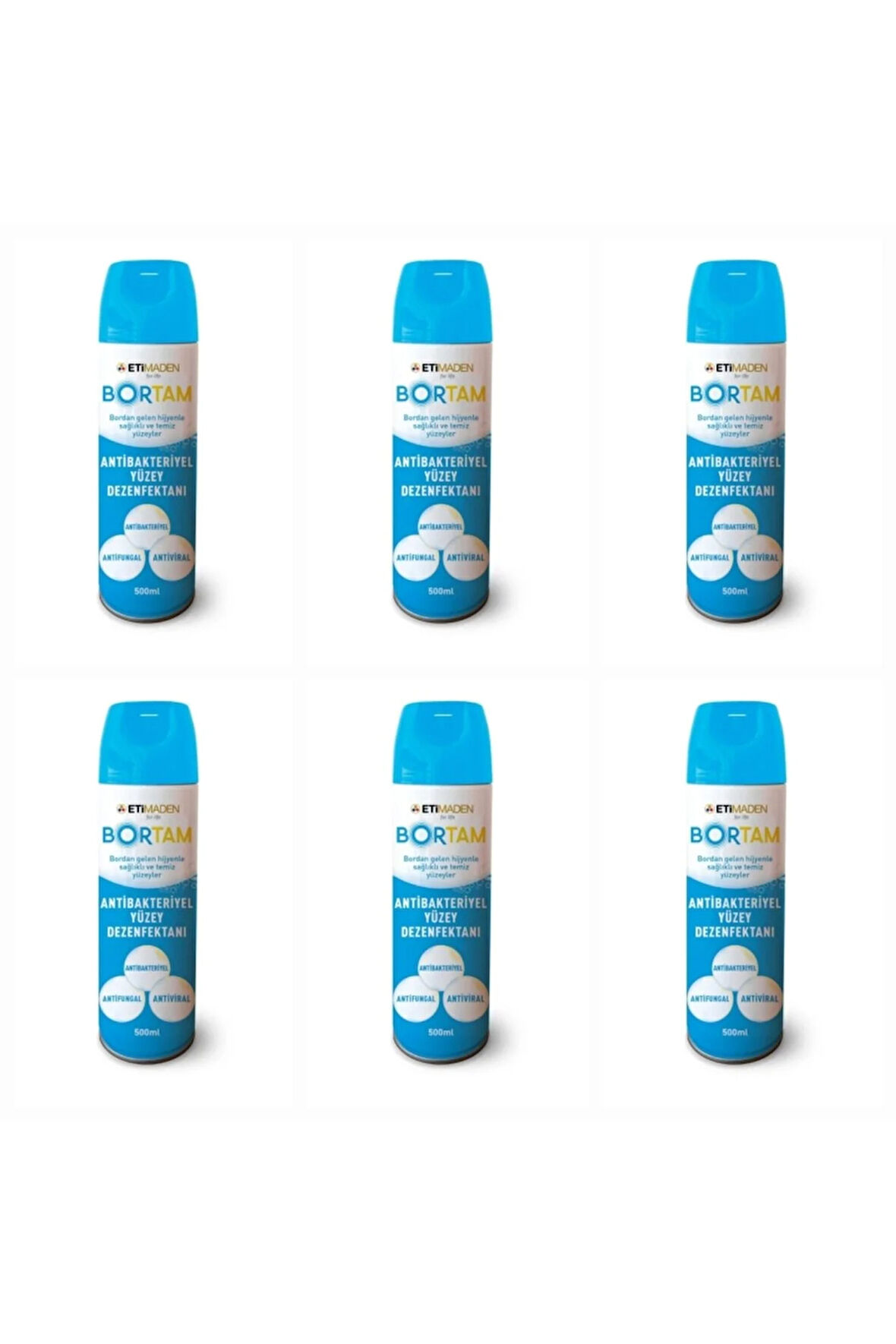 BORTAM DEZENFEKTAN 6 ADET VİRÜS BAKTERİ VE MANTARA KARŞI ETKİLİ AEROSOL