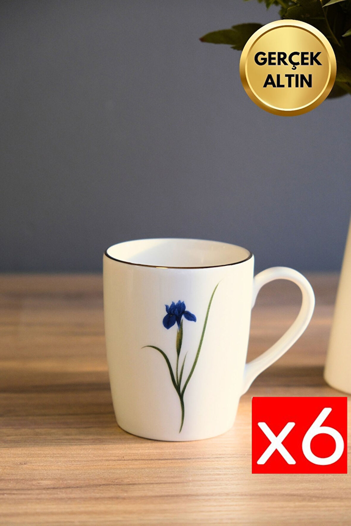 Tabak Evi Porselen Natura İris Kulplu Mug Kupa 9cm 220ml 6 lı