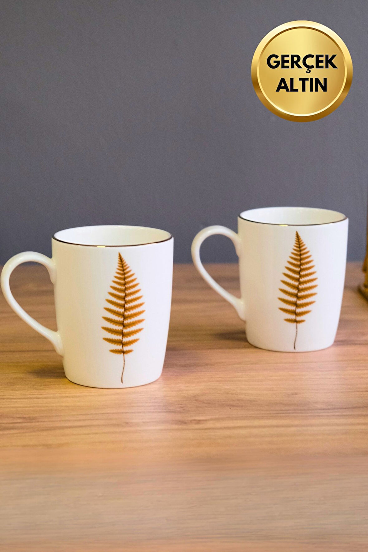 Tabak Evi Porselen Natura Fern Kulplu Mug Kupa 9cm 220ml 2 li