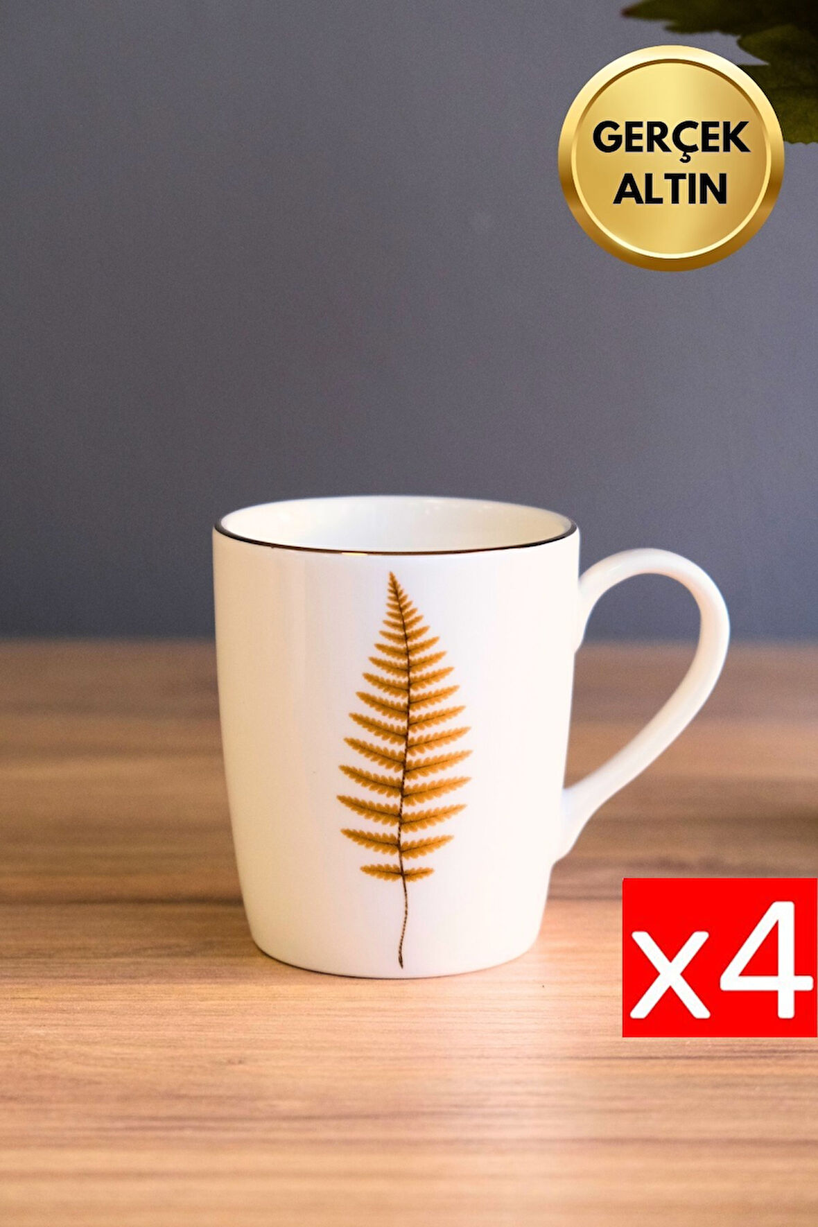 Tabak Evi Porselen Natura Fern Kulplu Mug Kupa 9cm 220ml 4 lü