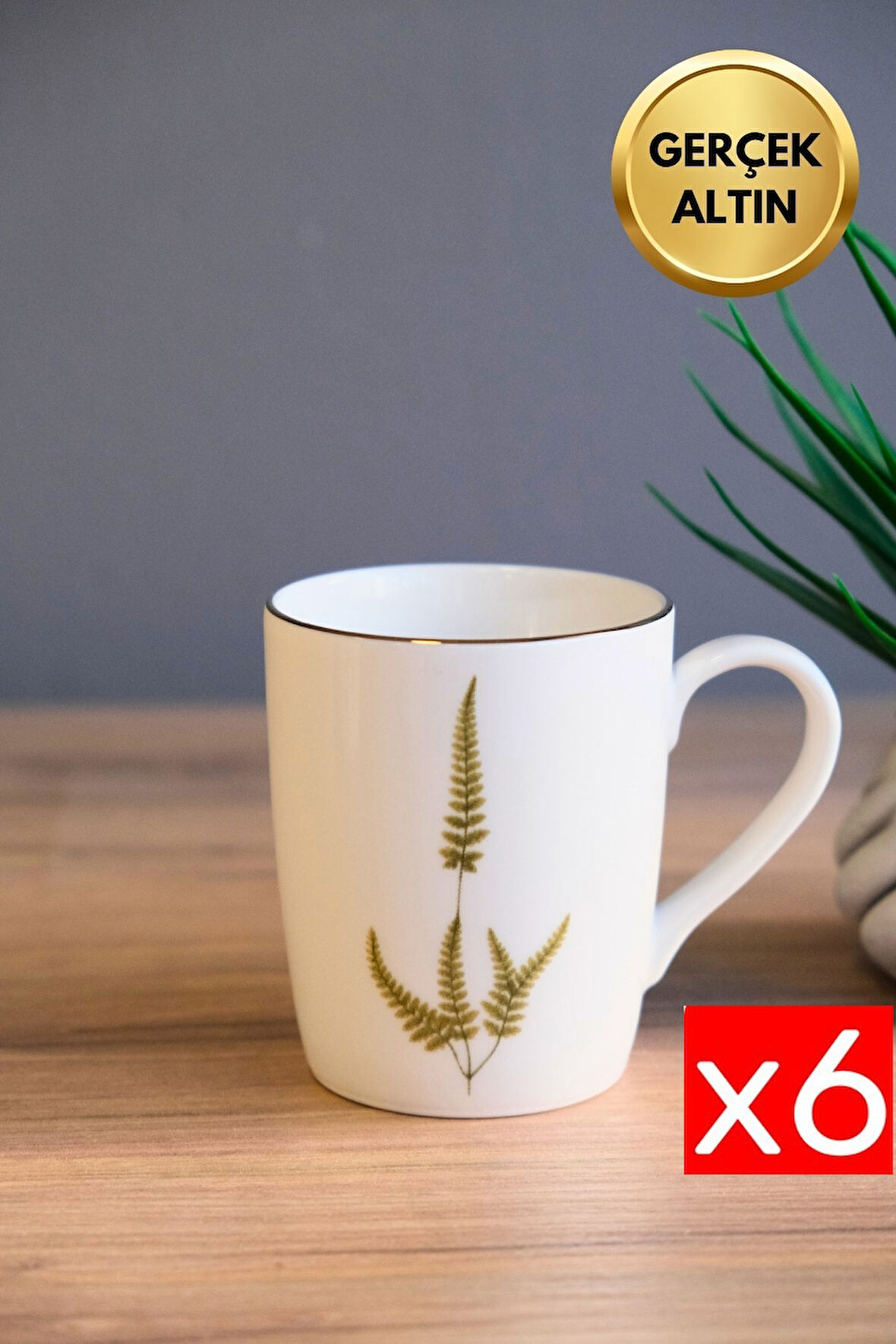 Tabak Evi Porselen Natura Marinum Kulplu Mug Kupa 9cm 220ml 6 lı