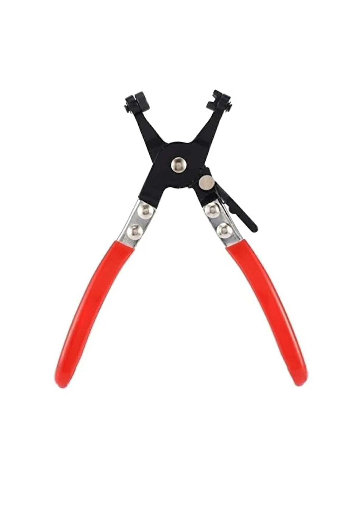 HORTUM KELEPÇE PENSESİ