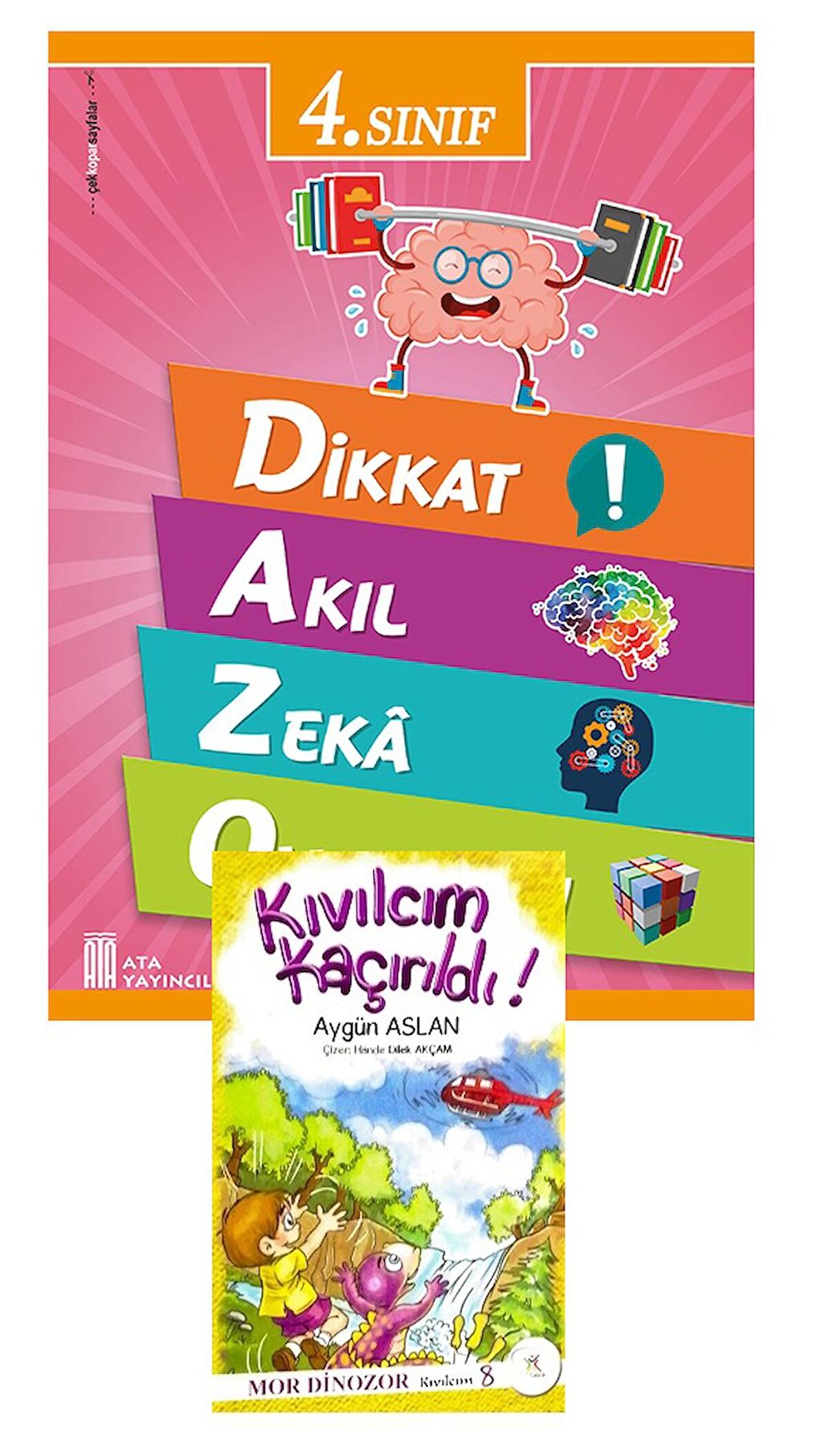 Ata 4.Sınıf Dikkat Akıl Zeka Oyunları