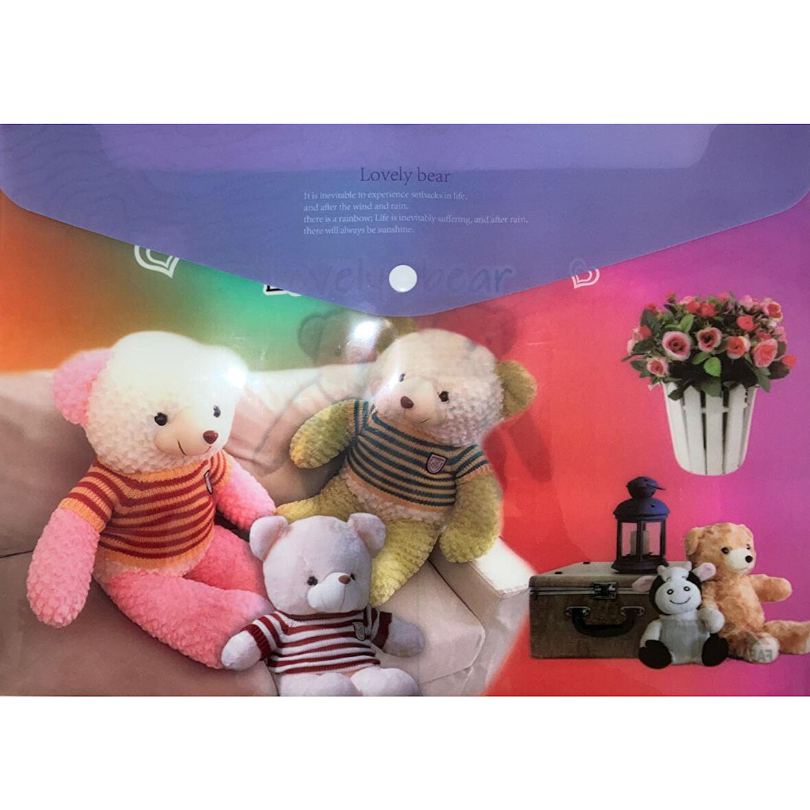 Bafix Çıtçıtlı Dosya Fafayu Desenli YY-0102