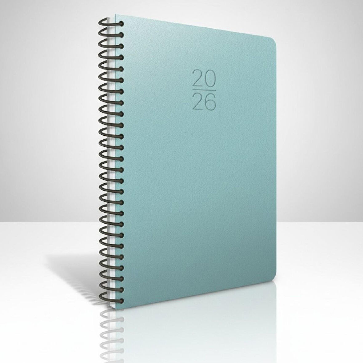 2026 Sert Kapak Günlük Ajanda 20x28 419-SEK-Romence-Türkçe-İngilizce-Rusça