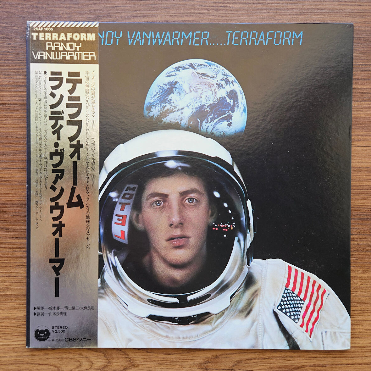 Randy Vanwarmer – Terraform 33'lük LP PLAK