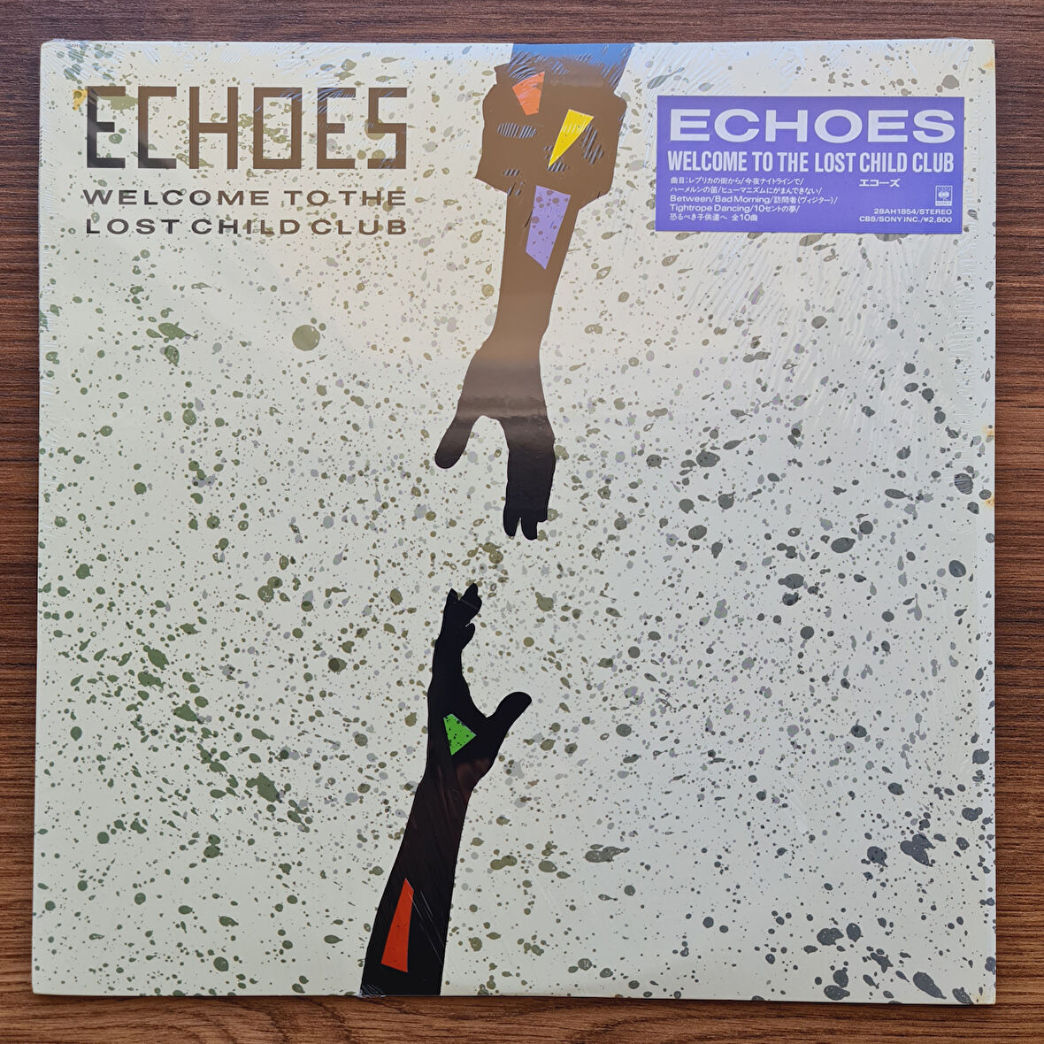 Echoes – Welcome To The Lost Child Club 33'lük LP PLAK