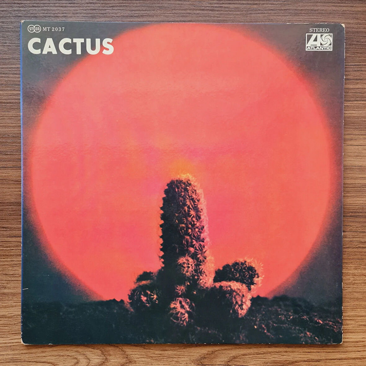 Cactus – Cactus