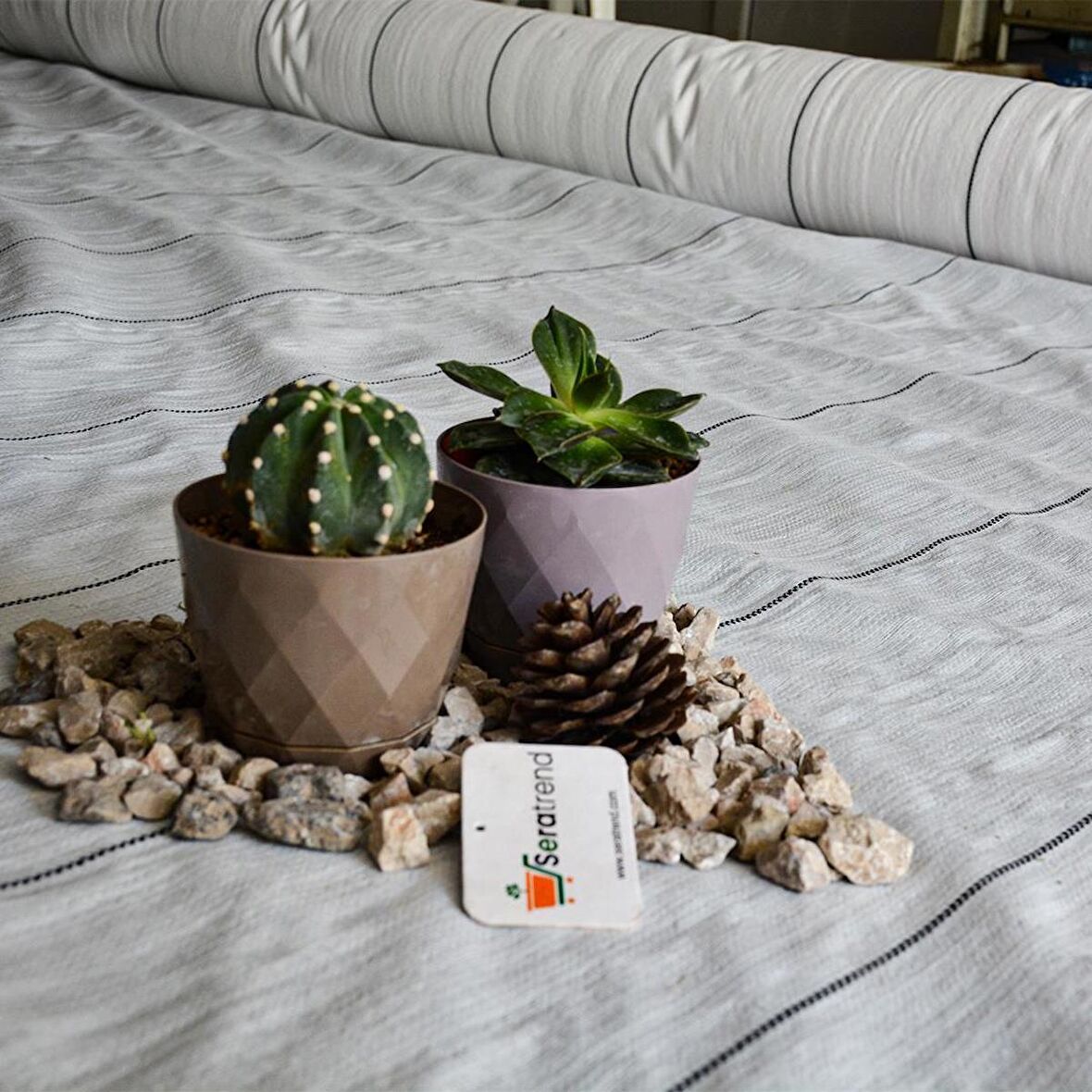 4,2x80 m BEYAZ SULZER KUMAŞ SERA TABAN ÖRTÜSÜ JÜT BLUEBERRY PEYZAJ UYGULAMA ÖRTÜSÜ MULCH NAYLONU ÇİLEK MALÇ