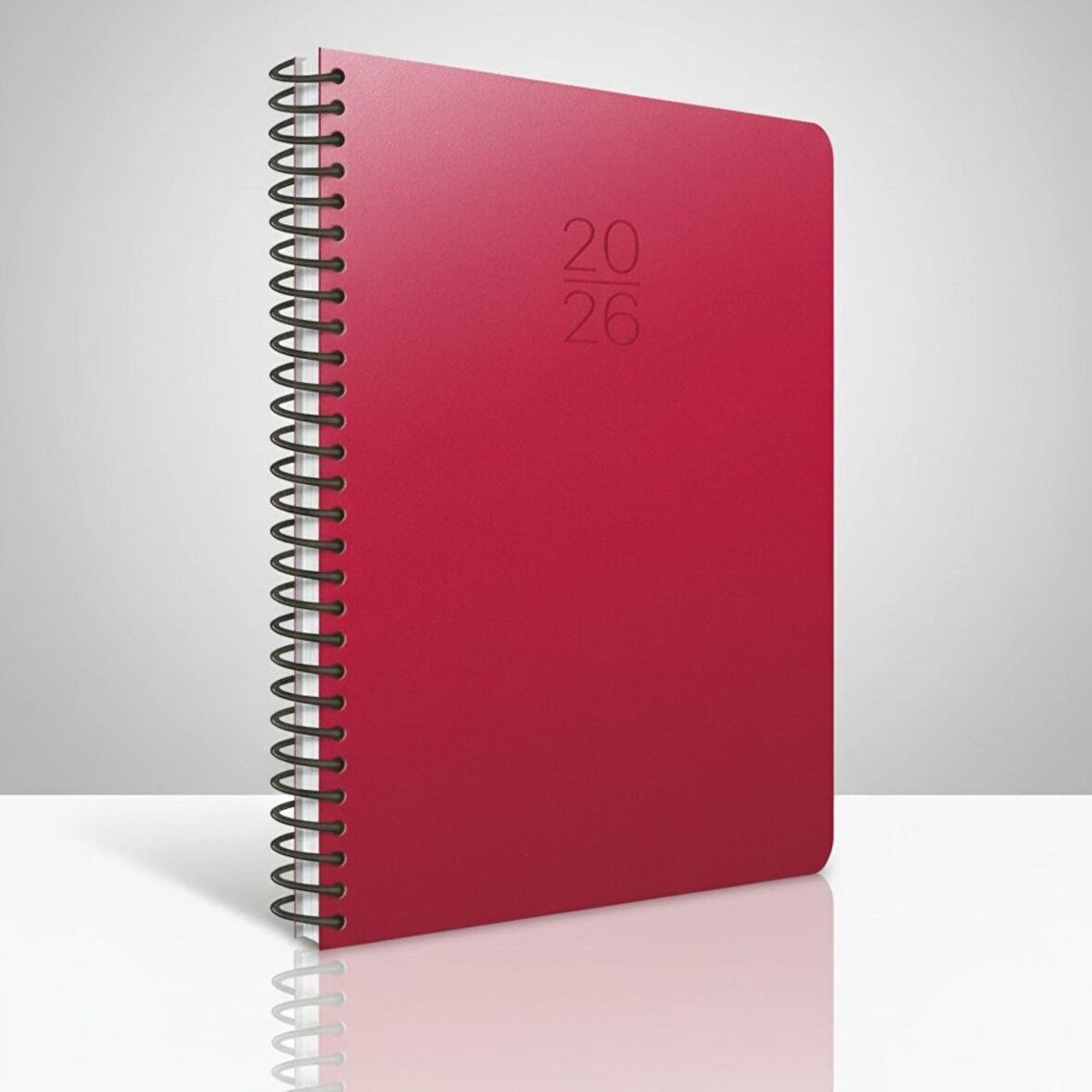 GIPTA 20x28 2022 Spiralli Ajanda Sert Kapak Haftalık (422-SEK) 110 GR.