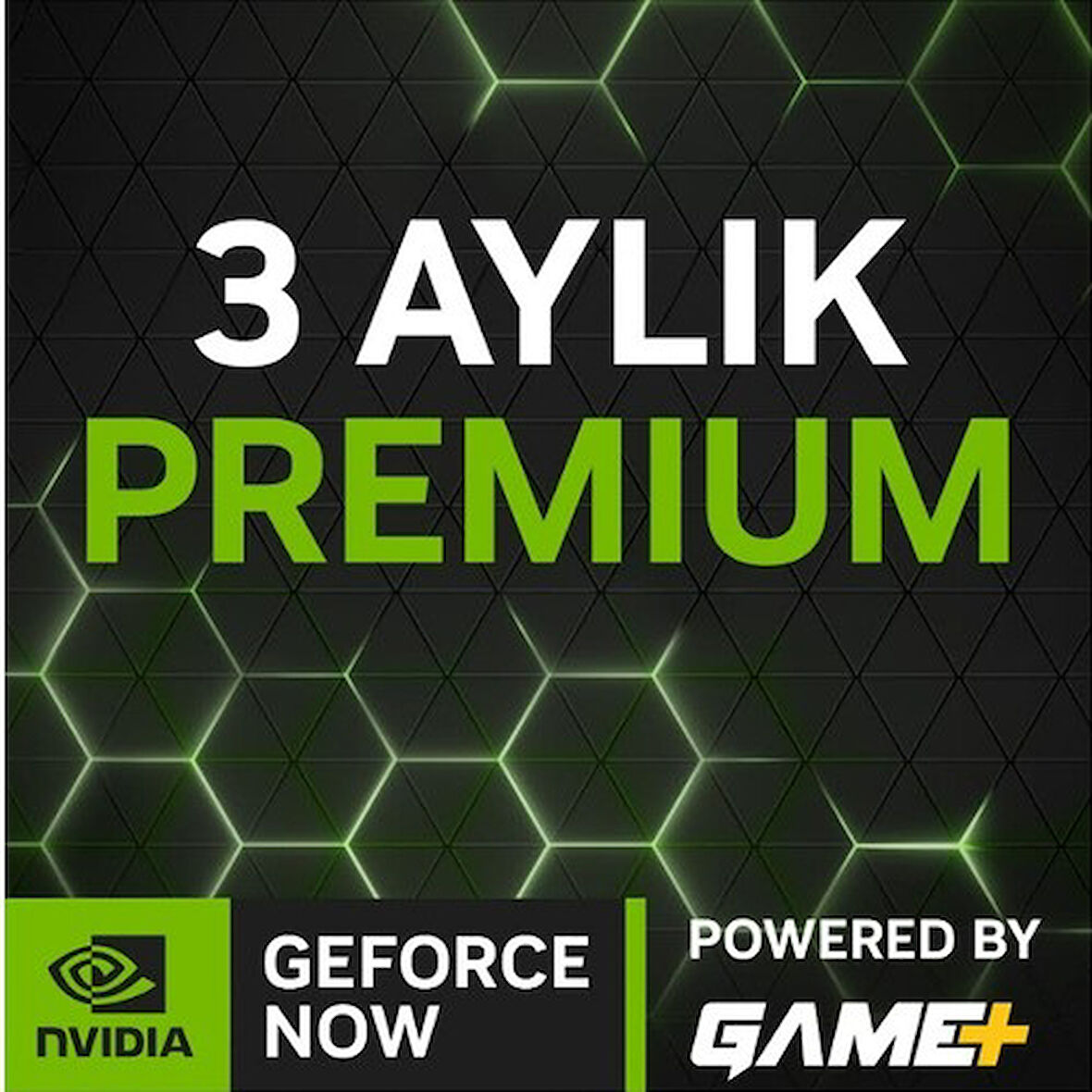 Geforce Now Game Plus 3 Aylık