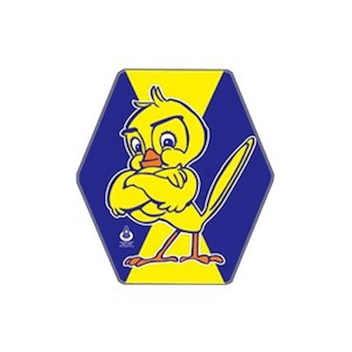 Klasik Uçurtma Çıtalı Altıgen Uçurtma Fenerbahçe